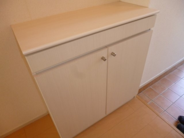 アイリスの内装|シューズボックス