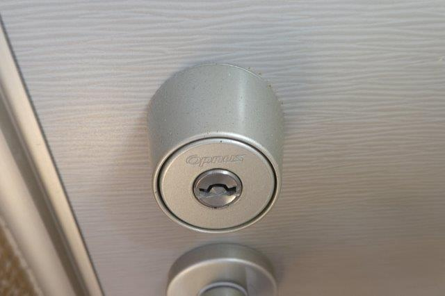 アイリスのセキュリティ|オプナスキー