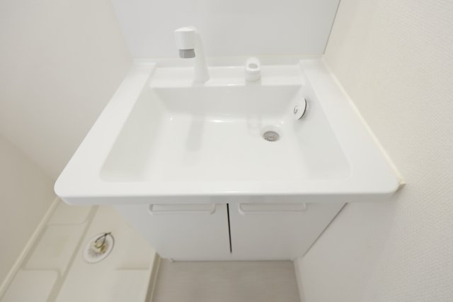 リブリ・小岩の洗面所