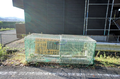 【その他共用部分】 | コンフォーティアⅤ | ゴミ捨て場