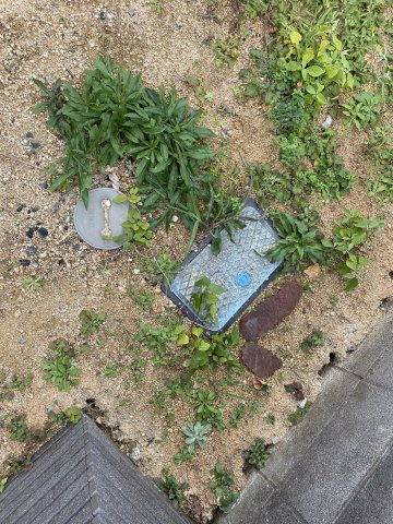 【外観】 | 水道　上水　下水　引き込み済み