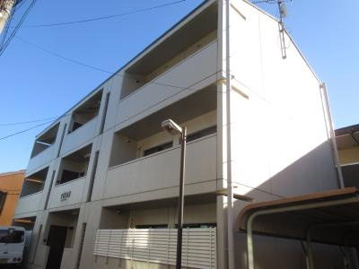 セトラⅢ