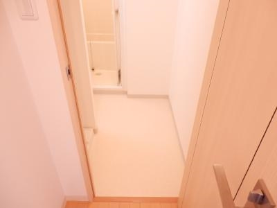 SWISS京都堀川WEST（スイス京都堀川ウエスト）の内装|脱衣所