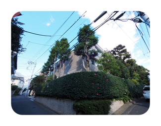 【外観】 | 外観も気になるポイント