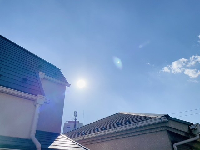 【その他】 | イリーズ