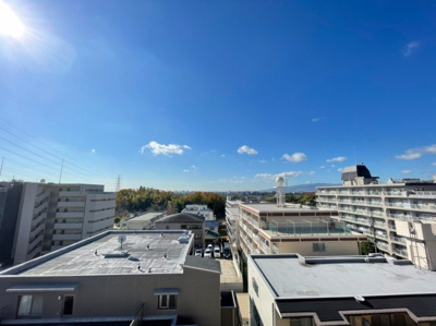 【展望】 | ハイネス緑地公園