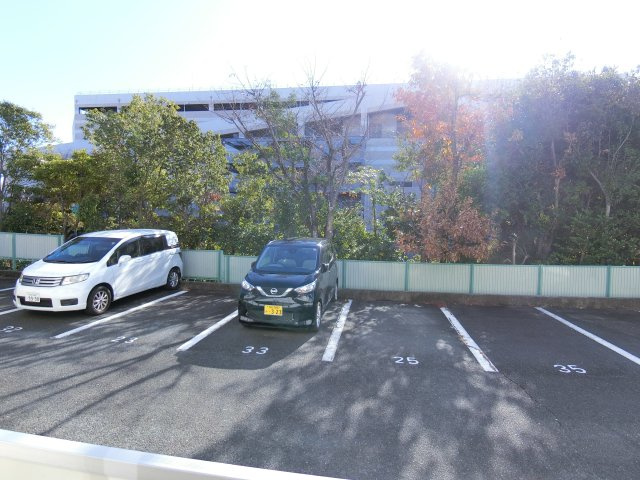 ロイヤルシングルのその他