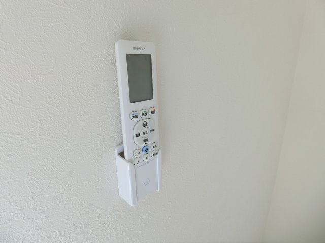 ロイヤルシングルのその他