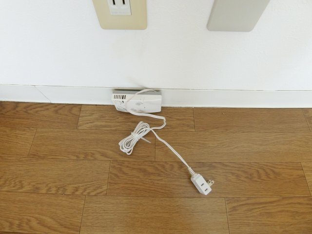 ロイヤルシングルのその他