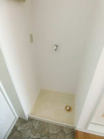 ロイヤルシングルのその他