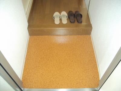 グレーシー西ノ京の玄関