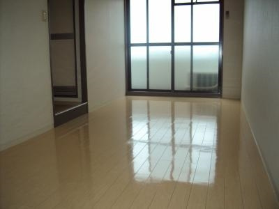 グレーシー西ノ京の居間・リビング|洋室