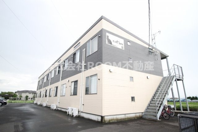 CAT　BOX　Ⅱ・Ⅲ