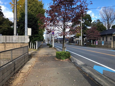 【周辺】 | 桜館