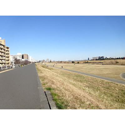 【周辺】 | コンフォートM（エム）多摩川