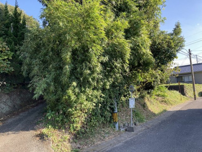 【前面道路含む現地写真】 | いちき串木野市八房土地