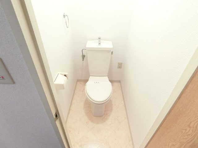 ブエナビスタ和泉中央のトイレ