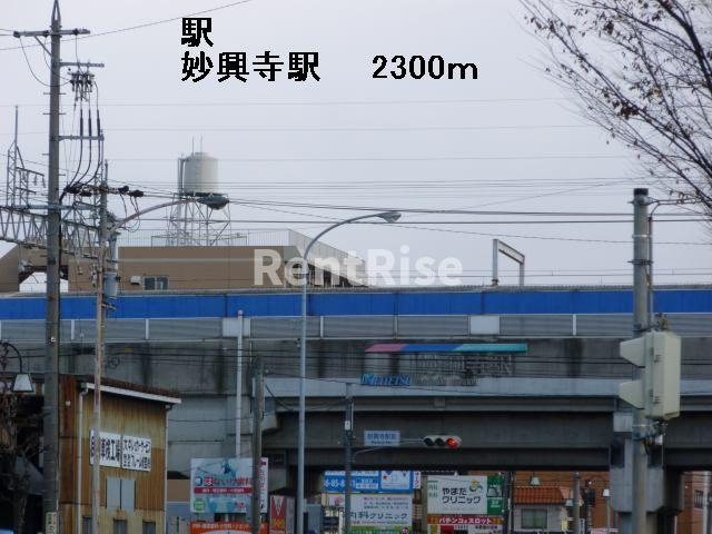 ルピナスのその他|その他