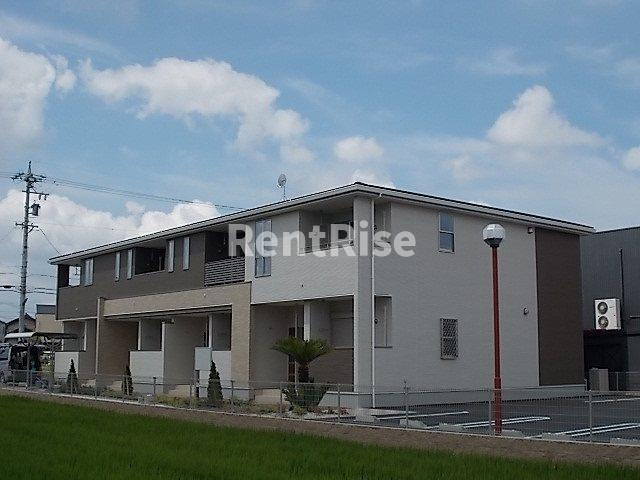 ルピナス