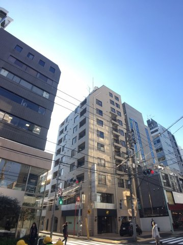 ライオンズマンション南青山シドニービルの外観|ライオンズマンション南青山シドニービル