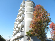世田谷区南烏山１丁目のマンションの画像