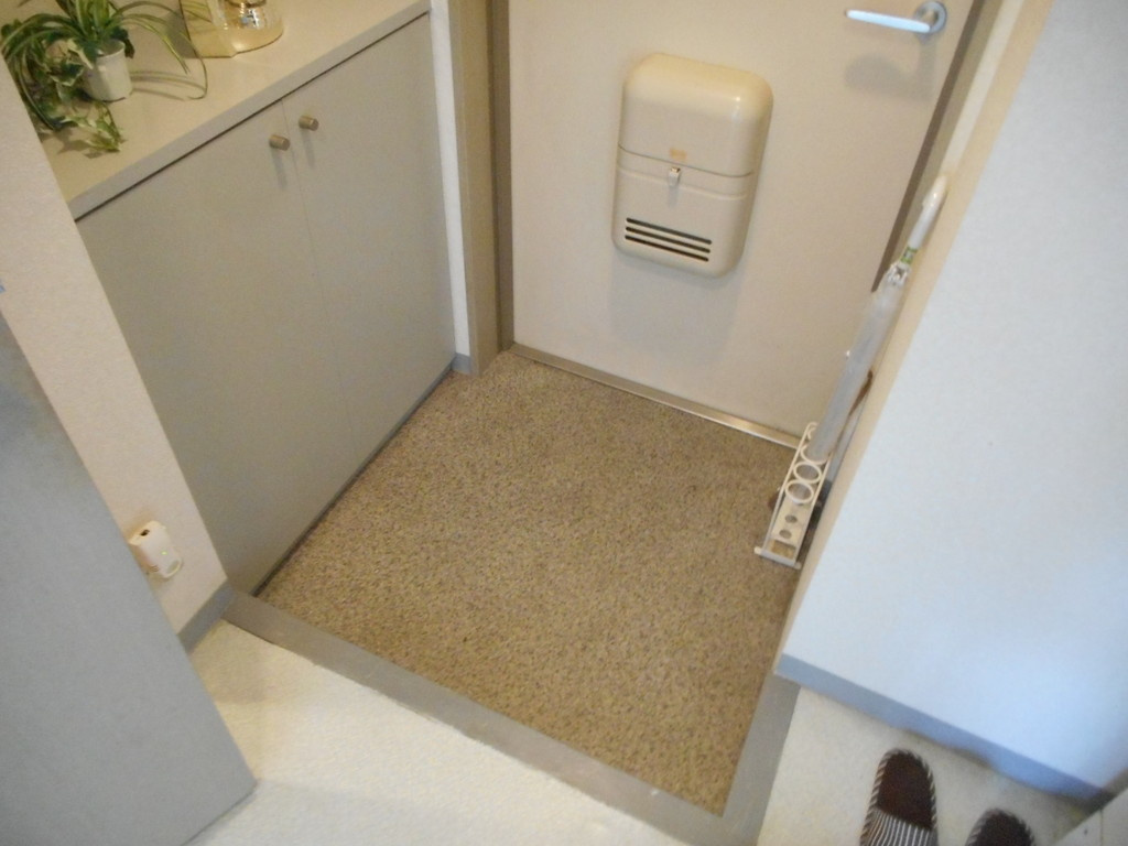 クリスタルメゾンベガの玄関|玄関です