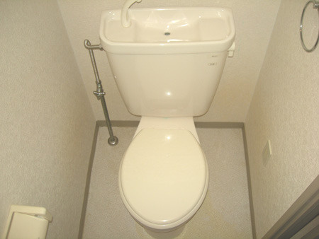 クリスタルメゾンベガのトイレ|落ち着いた色調のトイレです