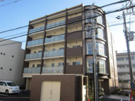 グリシーヌの画像