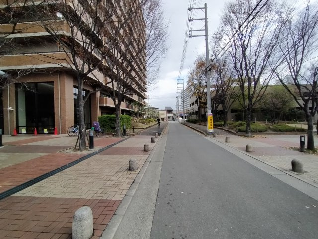 四季彩都くすのき館の周辺|周辺道路
