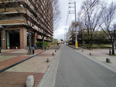 【周辺】 | 四季彩都くすのき館 | 周辺道路

