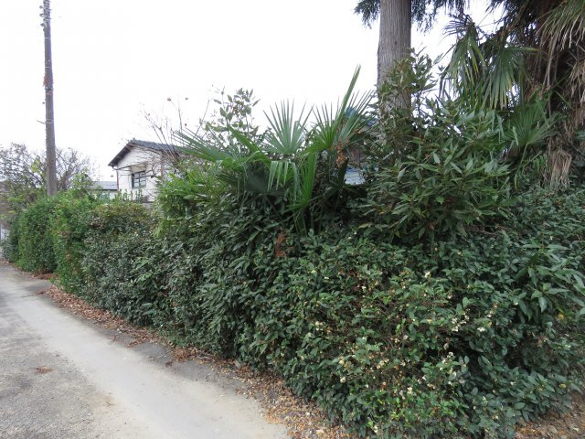 坂戸市長岡売地の展望