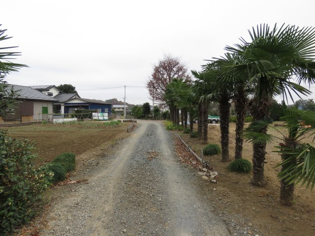 坂戸市長岡売地の前面道路含む現地写真