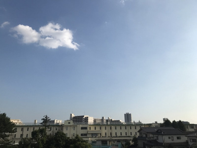 【展望】 | ベルシェ津田沼