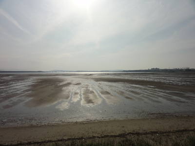 【展望】 | ＣＢ和白オーシャンフォルム | ※別号室の写真になります。現況優先。
