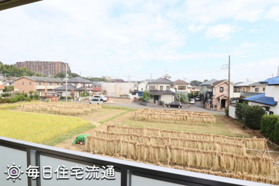 【展望】 | サンフラワーⅢ