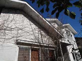 【外観】 | 蔦が繁茂。一部は室内にも侵入しています。