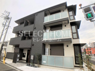 エルミタージュ羽根の画像