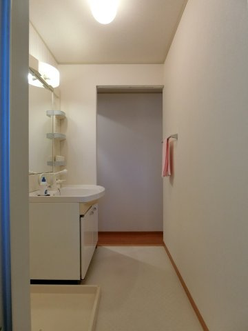 ブラゾーネ　B棟の洗面所