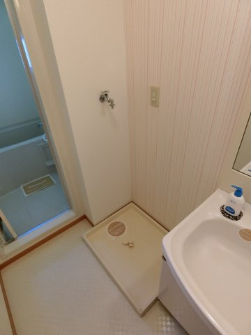 ブラゾーネ　B棟の洗面所