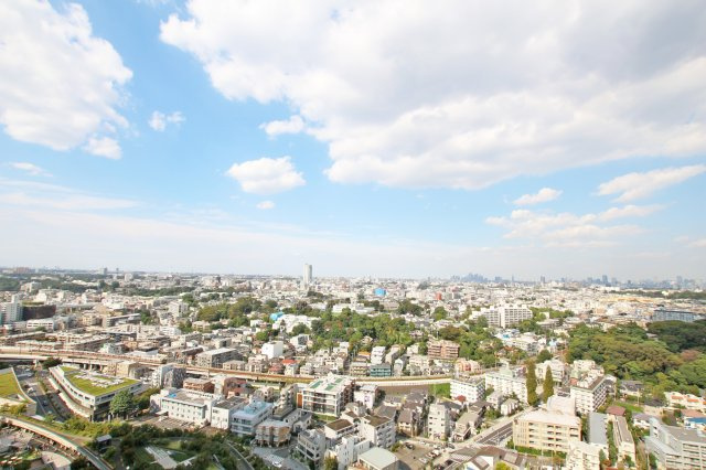 二子玉川ライズタワー＆レジデンス　タワーセントラルの展望