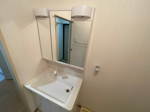 ダイアパレス津田沼の洗面所