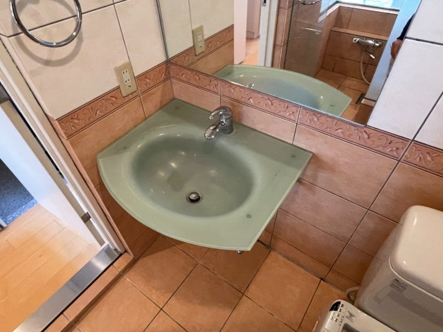 グレースコート府中の洗面所