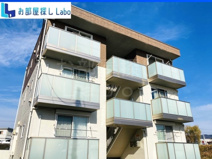 Ｐａｌｍｅ　ｄ‘Ｏｒの画像