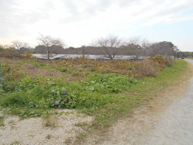 東松山市大字松山 土地75坪の外観