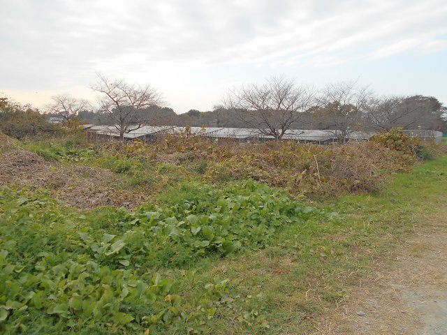 東松山市大字松山 土地75坪の外観