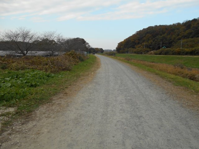 東松山市大字松山 土地75坪の前面道路含む現地写真