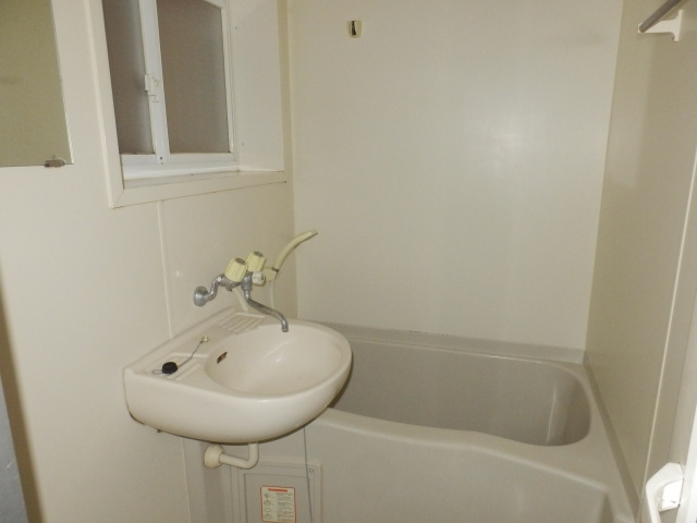 ザ・フューチャーハウスの浴室