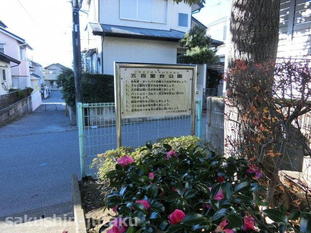 勝田台南３丁目　中古戸建の周辺|５ｍ道路向かいに公園あり開放的です。