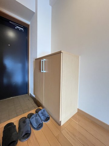 プレゼンスⅡの収納
