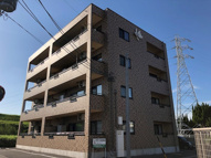 ニューフラワーⅡの画像